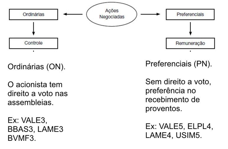 acoes ordinarias e preferenciais