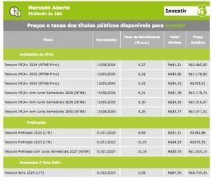 investimentos no tesouro selic