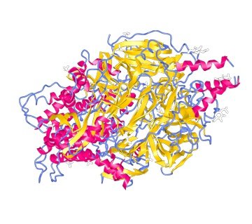 estrutura proteica do antigeno - vacina vsr