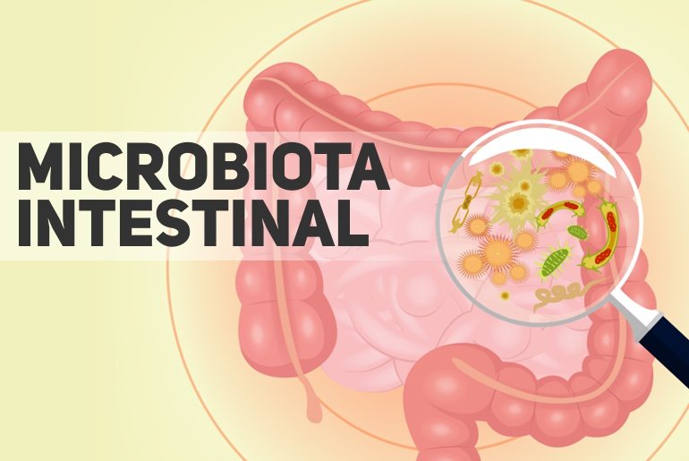 microbiota intestinal e obesidade em criancas pediatria