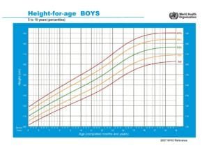 Altura meninos 5 a 19 anos