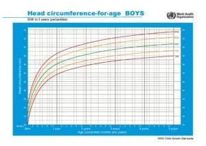 Perímetro cefálico meninos