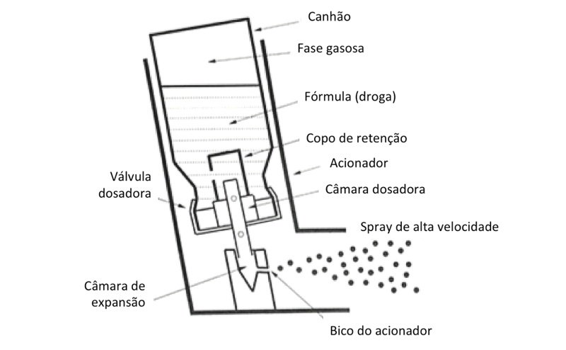 Componentes padrao de um IPD