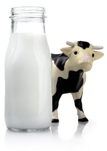 alergia ao leite de vaca
