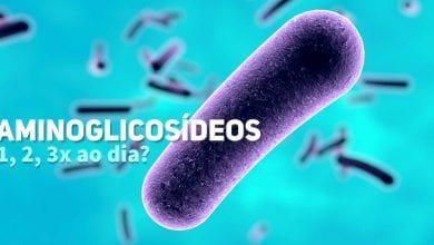 Aminoglicosideos - quantas vezes ao dia - Pediatria